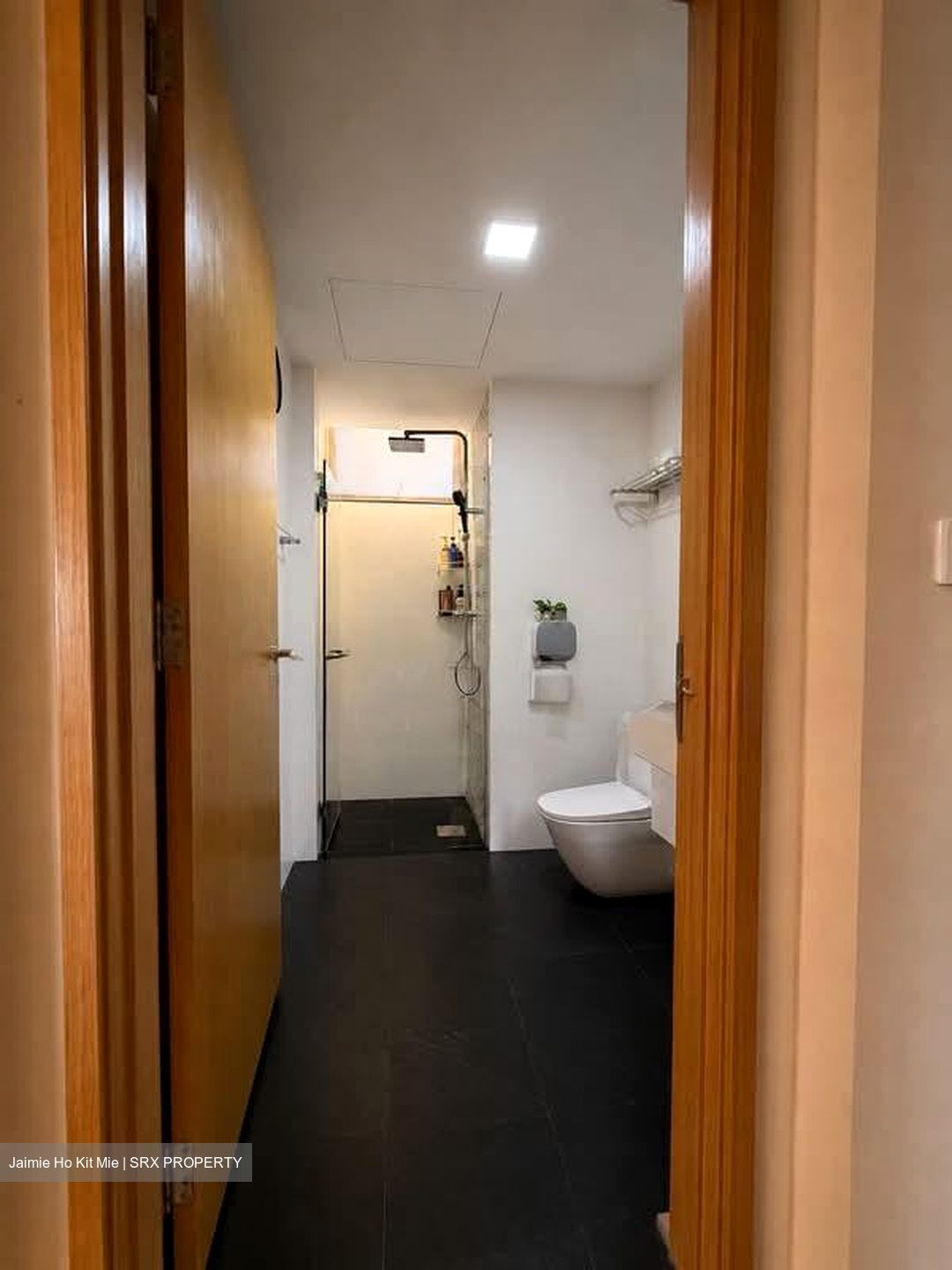 Oasis @ Elias (D18), Condominium #575807041